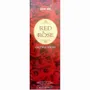 Senteurs - Encens Hem Red Rose 8 Bts - ARABESK