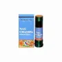 Scents - Nandita nag champa Perfumed Oil 8ml - ARABESK
