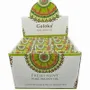 Scents - Perfumed Goloka Minth oil 10mL 12pcs - ARABESK