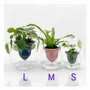 Vases - Clay pot - PIANO B - 3D self-irrigating design with glass for top - COMMON PLACE