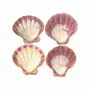 Senteurs - Porte encens coquille St Jacques Patte de Lion 12-16cm - ARABESK