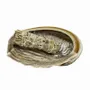 Scents - Australian abalone shell 15-17cm - ARABESK