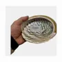 Senteurs - Coquille d'ormeau d'Australie 13-15cm - ARABESK