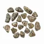 Jewelry - Dalmatian Jasper AB tumbled stones 250g - ARABESK