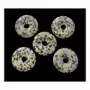 Bijoux - Donut Jaspe Dalmatien 3cm x5 - ARABESK
