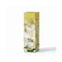 Senteurs - Encens TERRA Jasmin sans charbon 12grs - ARABESK