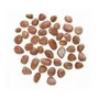 Jewelry - Sunstone A+ tumbled stones 15-25mm 250g - ARABESK