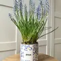 Vases - Pot amour - AND NOOK