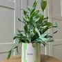 Vases - Pot honey - AND NOOK