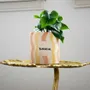 Vases - Pot sunshine - AND NOOK