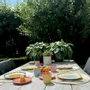 Everyday plates - Plate fruit fiesta / set of 4 - AND NOOK