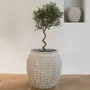 Corbeilles - Cache-pot CLEIA ciment gris clair - Grand modèle - dia 51,5x51,5x51,5 - BLANC D'IVOIRE
