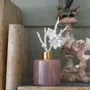 Diffuseurs de parfums - Diffuseur de parfum d'ambiance Eclat Floral 150 ml - Fruits des Bois - MATHILDE M.