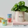 Mugs - Mug fruitful / set of 4 - AND NOOK