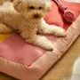 Pet accessories - PET ACCESORIES - CALMA HOUSE