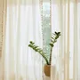 Rideaux et voilages - RIDEAUX - CALMA HOUSE