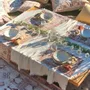 Coussins - CALMA LIVING - Textiles de maison - CALMA HOUSE