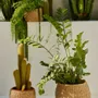 Decorative objects - SEA GRASS OBJECTS - CALMA HOUSE