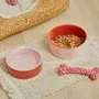 Pet accessories - PET ACCESORIES - CALMA HOUSE