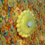 Objets design - Applique Luna Small Vanille - BELLO ET BELLO