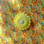 Objets design - Applique Luna Small Vanille - BELLO ET BELLO
