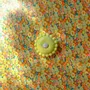 Objets design - Applique Luna Small Vanille - BELLO ET BELLO