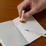Papeterie bureau - STYLO CHAMPIGNONS EFFAÇABLE - KIKKERLAND