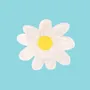 Hair accessories - Daisy Hair Claw - Coucou Suzette - COUCOU SUZETTE