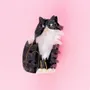 Hair accessories - Black & White Cat Hair Claw - Coucou Suzette - COUCOU SUZETTE