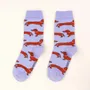 Socks - Dachshund Socks - Coucou Suzette - COUCOU SUZETTE