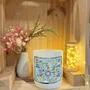 Gifts - Products illustrated by Zabeil - HIRONDELLES & CIE BY MAISON ROYAL GARDEN