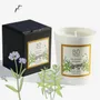 Bougies - Bougie Les sentiers d'Eugénie - BÔRIVAGE