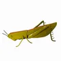 Outdoor decorative accessories - Recycled Metal Sculpture Grasshopper For Wall 15cm - TERRE SAUVAGE