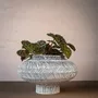 Vases - Arta lines, bone china vase, round, white, black - KLATT OBJECTS