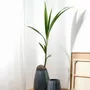Vases - CLIFF vases - ASA SELECTION