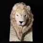 Decorative objects - Neve - BRANDY ROGER