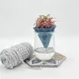 Vases - Clay pot -NOMADE BLUE PETROL- design - 3D auto-irrigating - COMMON PLACE