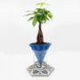 Vases - Blue Nomad clay pot- design - 3D auto-irrigating - COMMON PLACE