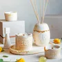 Scent diffusers - Fresh Bloom - Reed Diffuser Set - ESTI LIVING