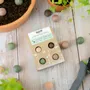 Cadeaux - Petit coffret cadeau avec 4 bombes à graines Blossombs - BLOSSOMBS