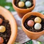Cadeaux - Le bonheur pousse un jardin - Mini-coffret cadeau biologique - BLOSSOMBS