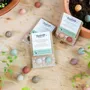 Gifts - Give-Away with 2 Blossombs Seed Bombs - BLOSSOMBS