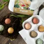 Gifts - Delft Blue Egg Box with 6 Seed Bombs – I Love You - BLOSSOMBS