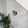 Tableaux - Tableau - Colibri Fleuri - POMME DES BOIS