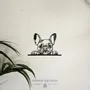 Tableaux - Tableau - Bulldog - POMME DES BOIS
