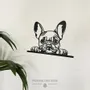 Tableaux - Tableau - Bulldog - POMME DES BOIS