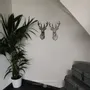 Tableaux - Tableau - Cerf - POMME DES BOIS