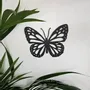 Tableaux - Tableau - Papillon Classique - POMME DES BOIS