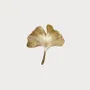 Bijoux - bijou broche CLAP - KOKO le Gingko biloba - CLAP PARIS