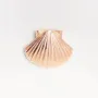 Bijoux - bijou broche CLAP - SHELLA le coquillage - CLAP PARIS